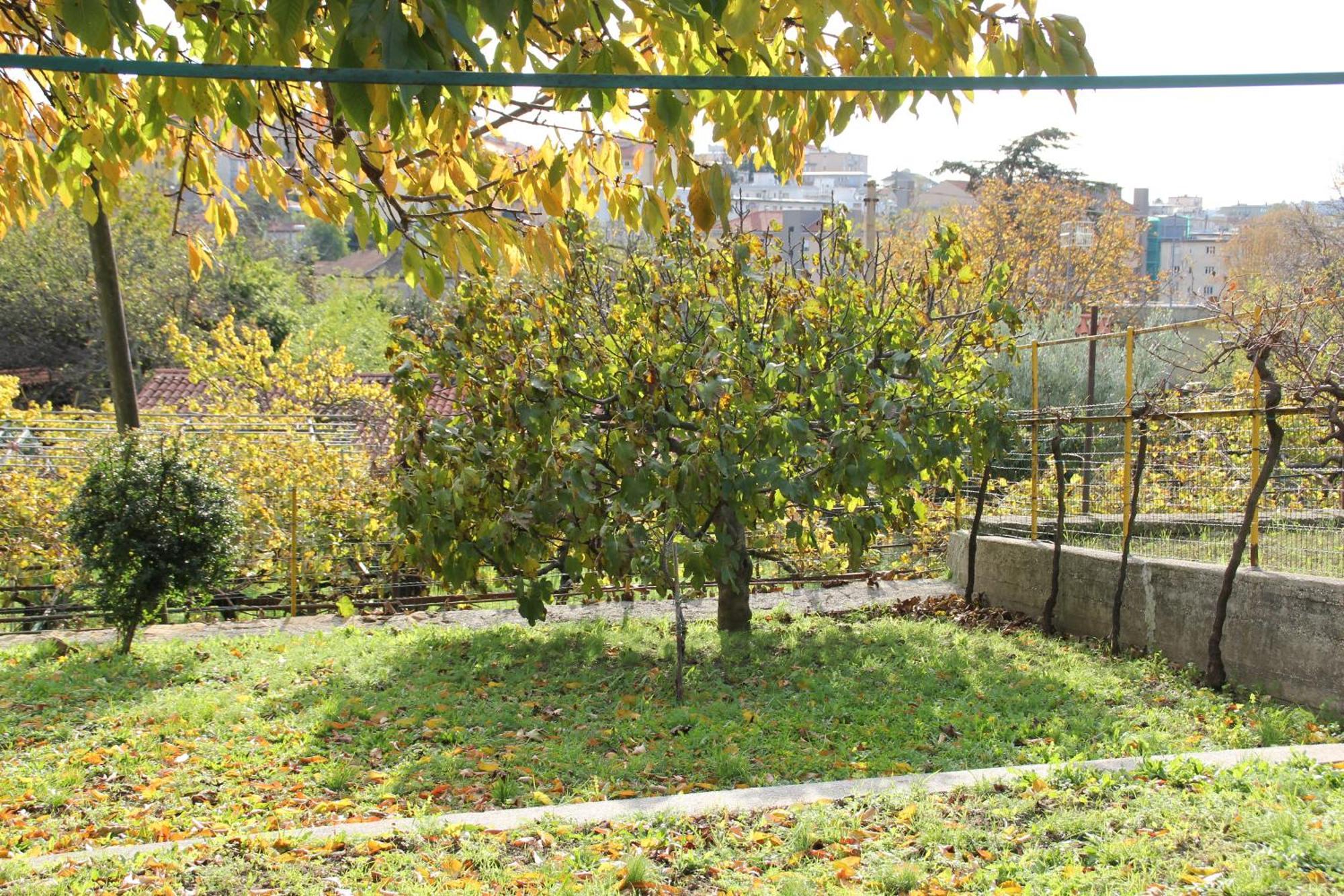 Il Gelsomino Ferienhaus