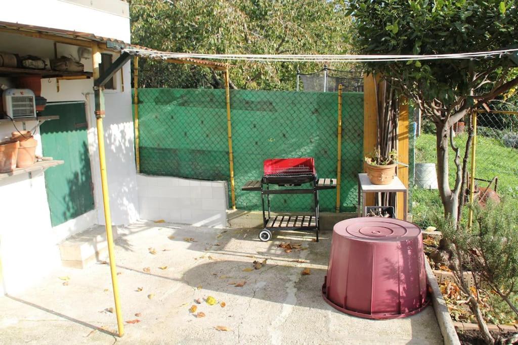 Il Gelsomino Ferienhaus *
