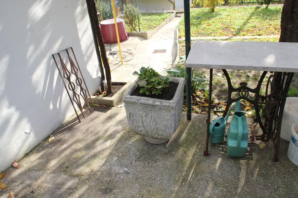 Il Gelsomino Ferienhaus *