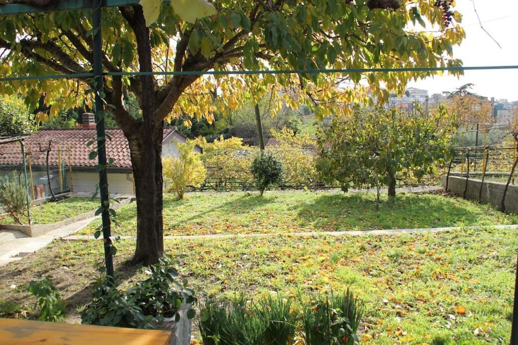 Ferienhaus Il Gelsomino Triest