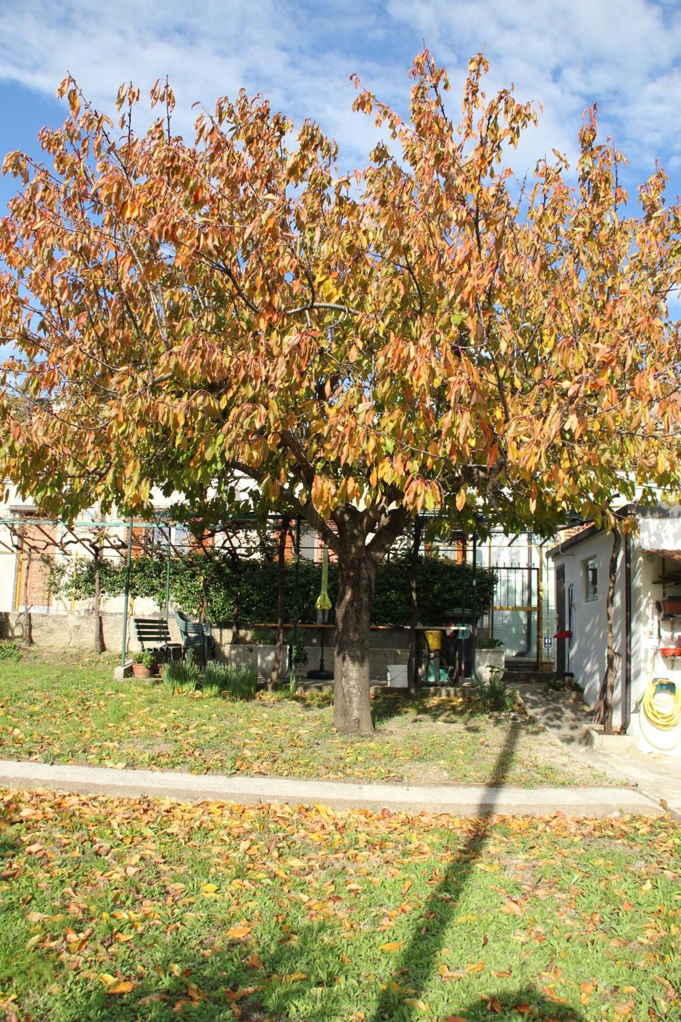 Il Gelsomino Casa de Férias